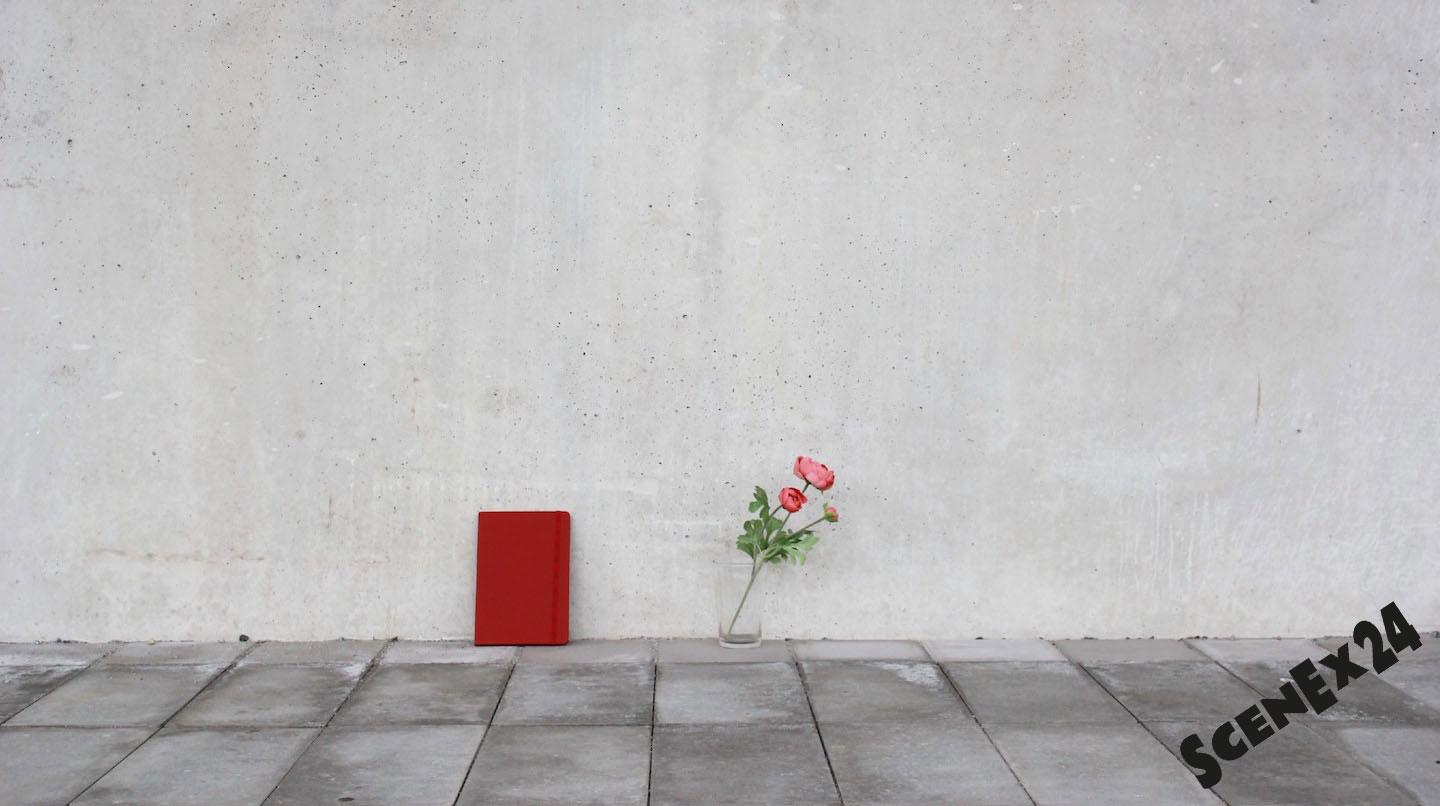 En röd blomma i en glasvas och en röd bok står på ett betonggolv mot en kal betongvägg